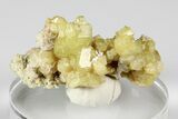 Yellow Topazolite Garnet Cluster - Mexico #188247-1